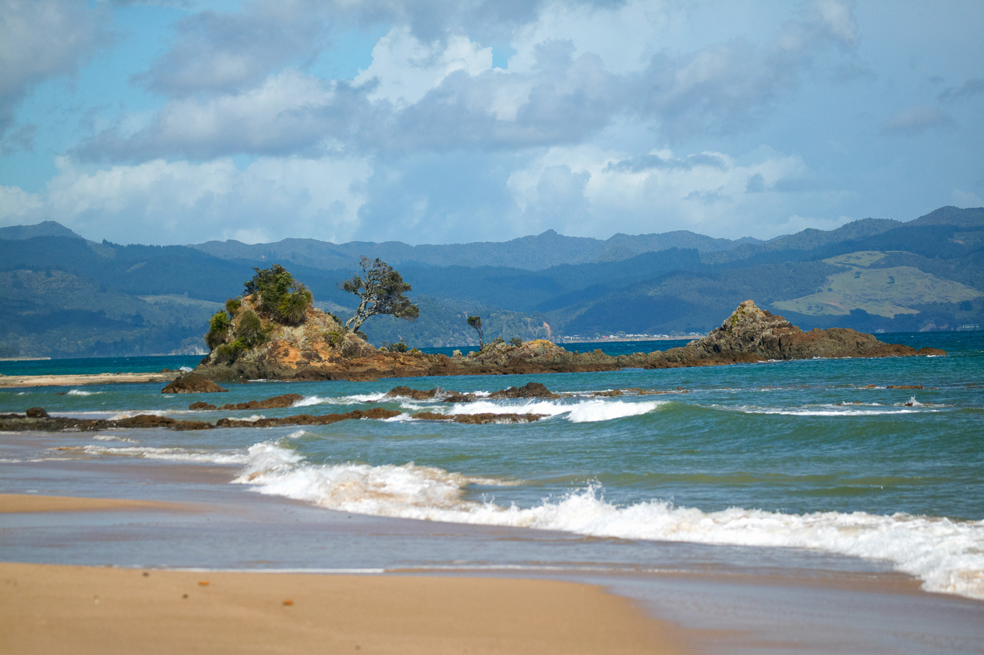 New Zealand landscape near Coromandel Island